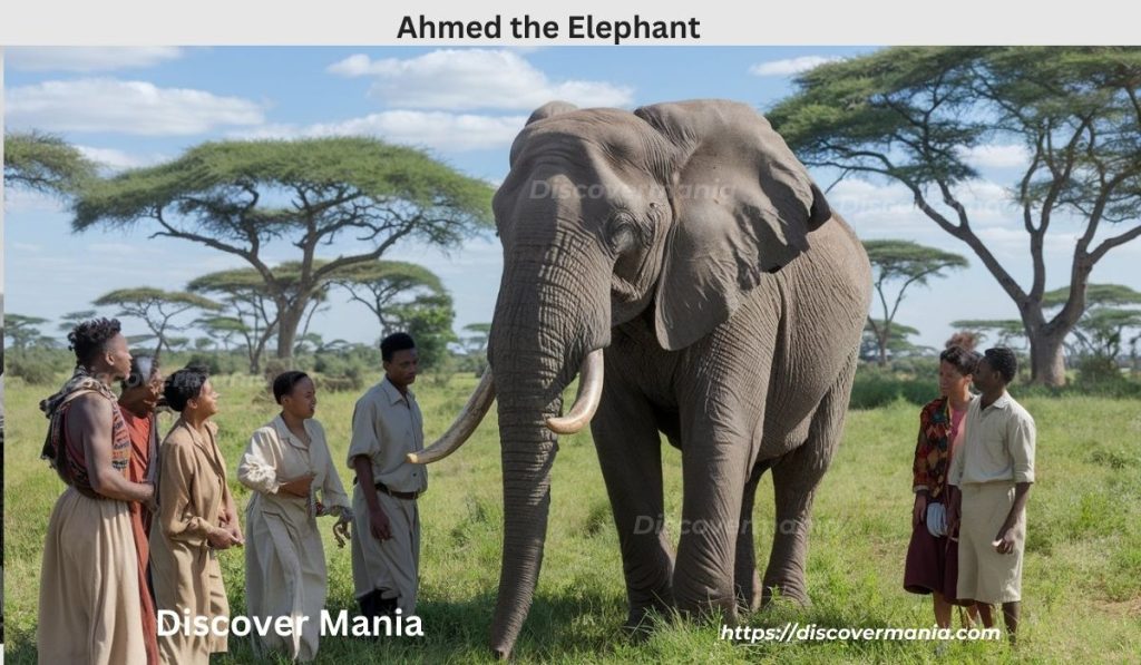 Ahmed the Elephant